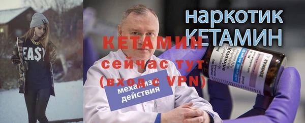 стаф Аркадак