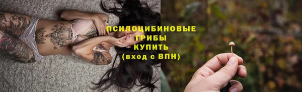 ГАЛЛЮЦИНОГЕННЫЕ ГРИБЫ Армянск