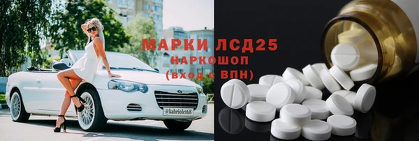 стаф Аркадак