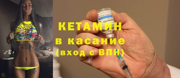 стаф Аркадак