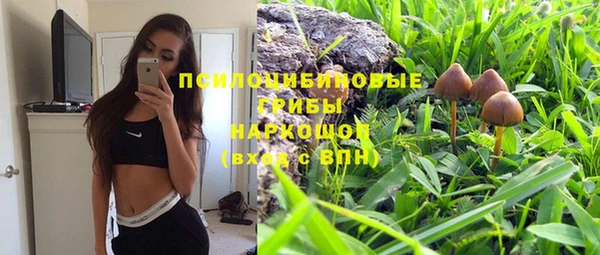 прущая мука Арсеньев