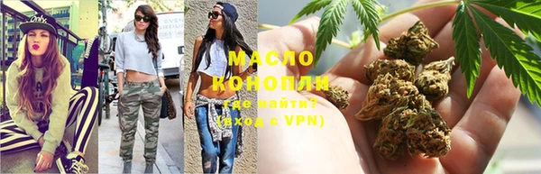стаф Аркадак