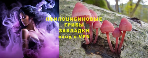 стаф Аркадак