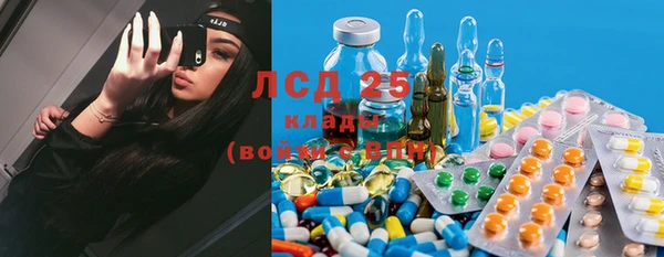 ГАЛЛЮЦИНОГЕННЫЕ ГРИБЫ Армянск