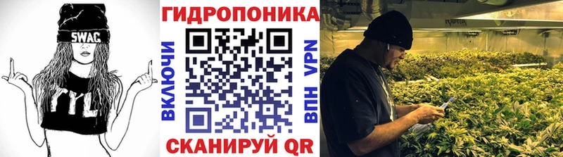 закладка  Снежинск  Канабис сатива 